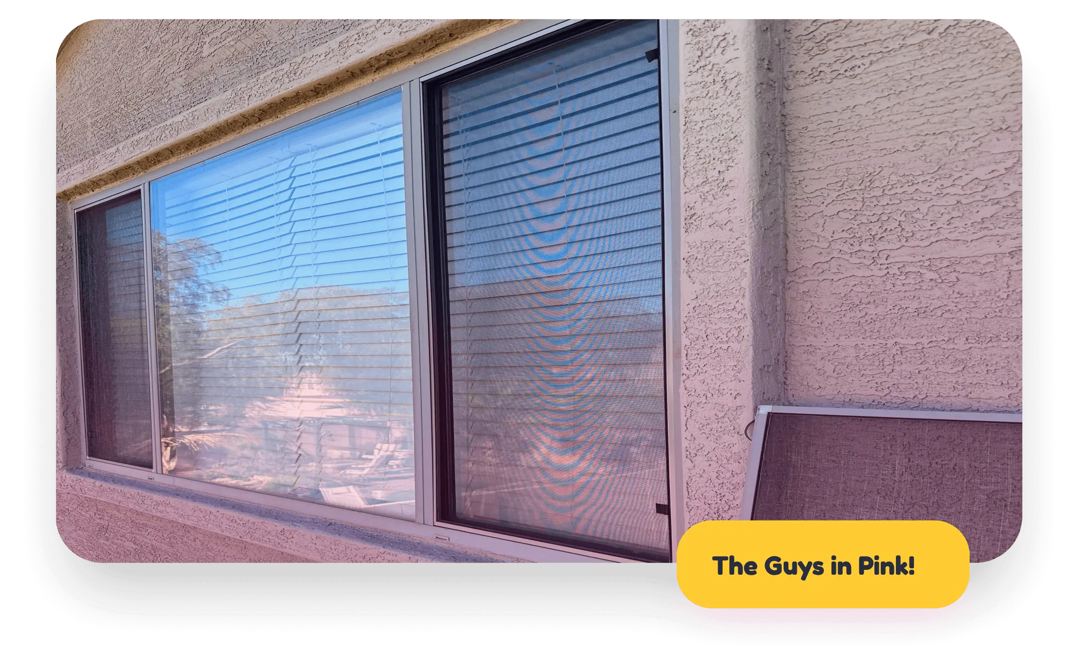 bug screens/windowscreens